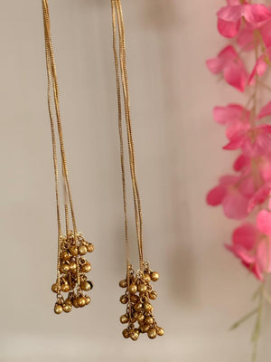 Naazneen - Kashmiri Earrings