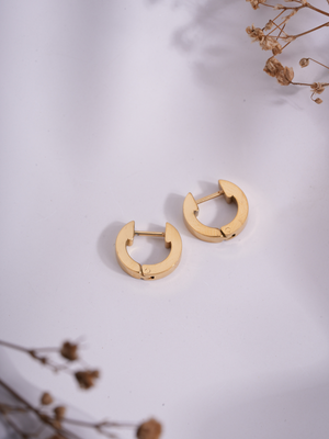 Curve Theory – Anti Tarnish Hoops